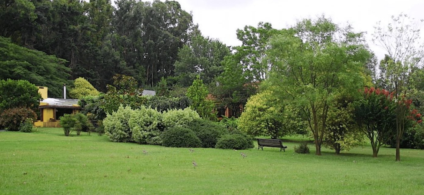 Wide lawn and tall trees outside Montevideo